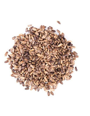 Mariendistelsamen, ganz, Bio- und Rohkostqualität 200g