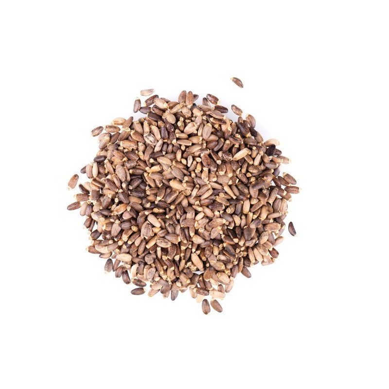 Mariendistelsamen, ganz, Bio- und Rohkostqualität 200g