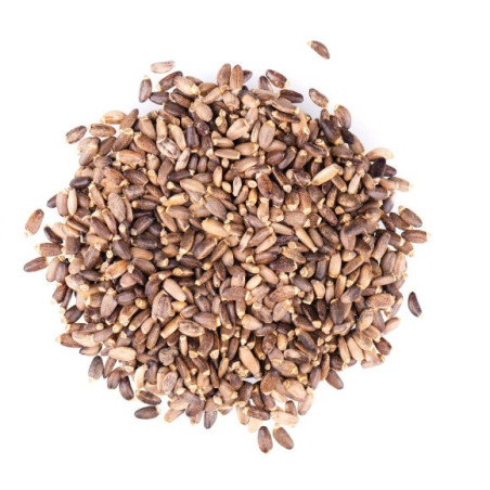 Mariendistelsamen, ganz, Bio- und Rohkostqualität 200g
